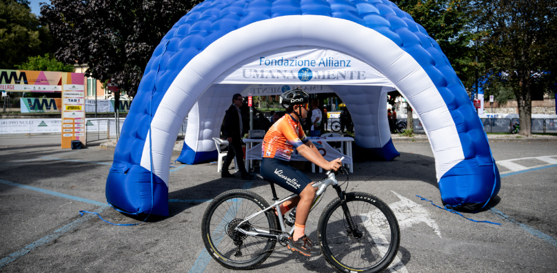 useful description of image if informative and not decoration only.