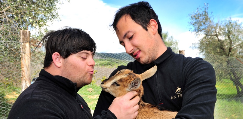 useful description of image if informative and not decoration only.