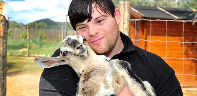 useful description of image if informative and not decoration only.